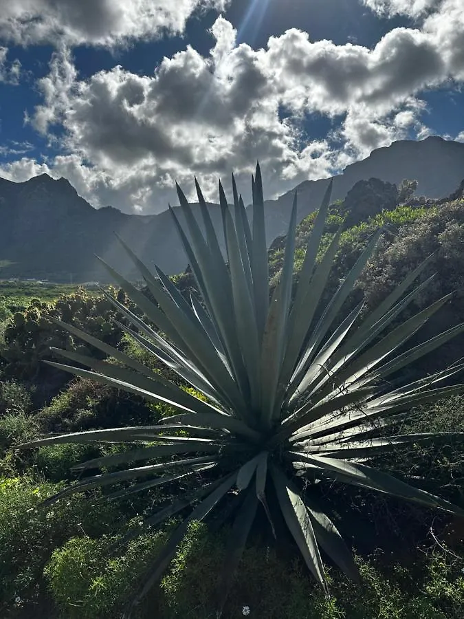Apartmán Aventura En Buenavista Del Norte